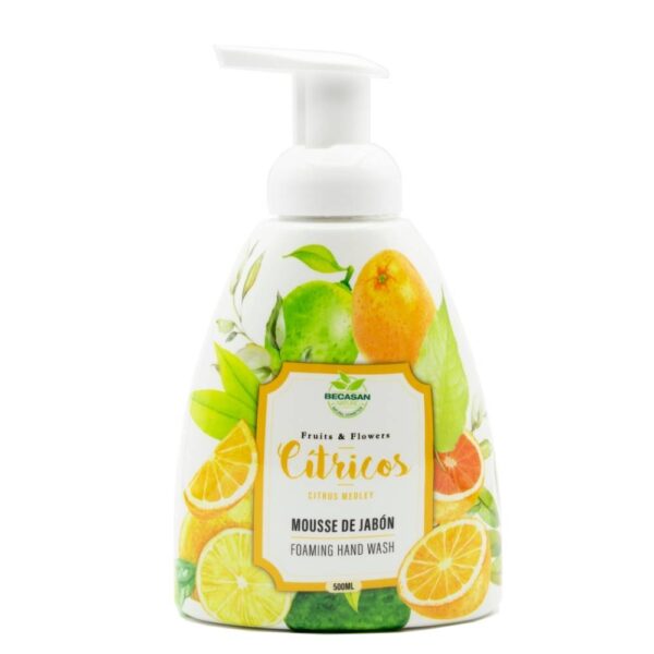 Espuma De Jabón Cítricos